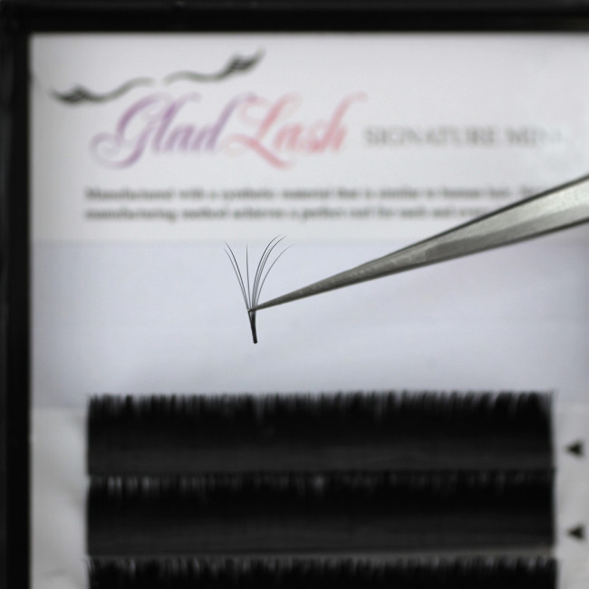 Rapid Fan Lashes