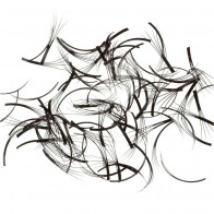 Knot Free W Lash Off the Tray