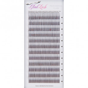 Glad Lash Signature Double Configuration 2D Y Eyelashes