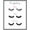 The Distinctions of Pretty Poster