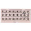 Celebrity Lashes