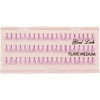 Celebrity Lashes - Purple