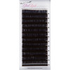 Signature Ellipse Flat Lashes 